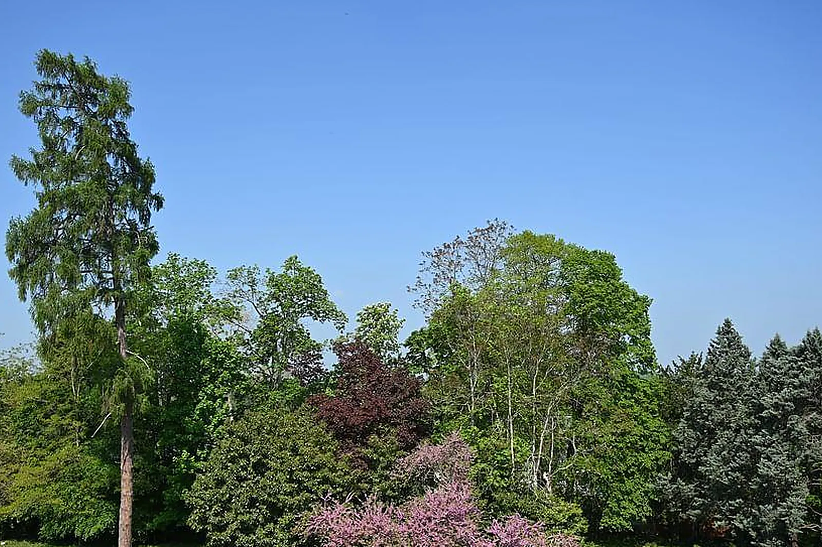 Lieux événementiels, CHÂTEAU DE LA ROZELLE - HÔTEL ****