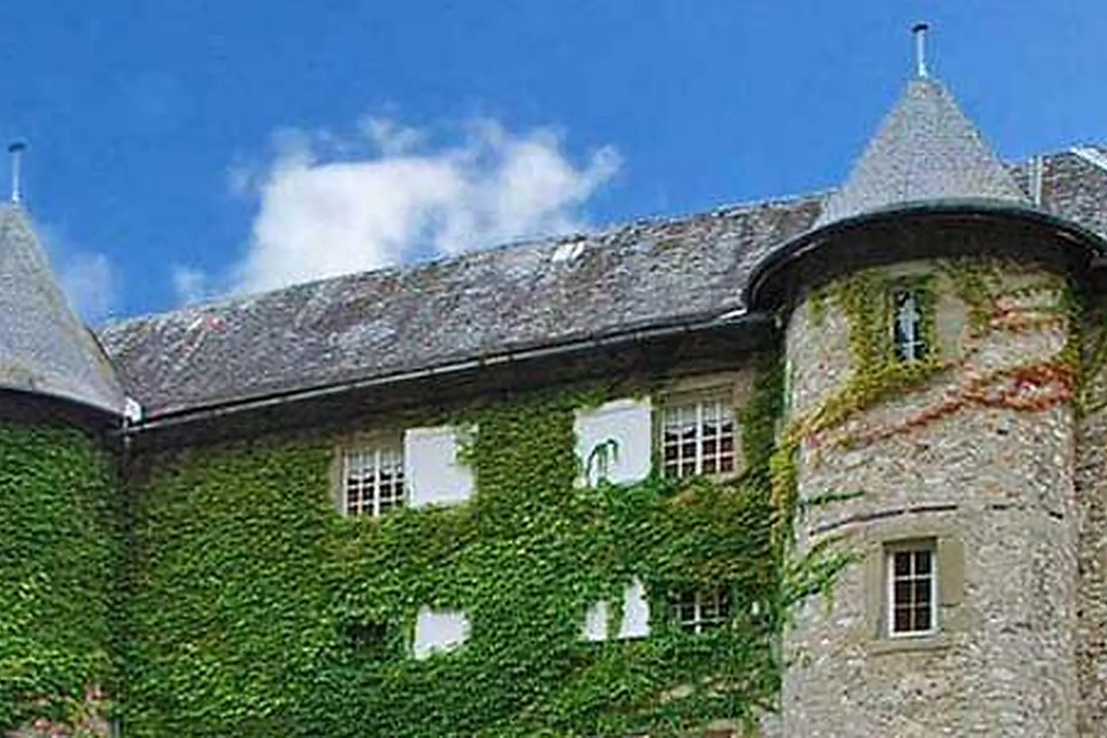 Lieux événementiels, CHÂTEAU DES COMTES DE CHALLES ***