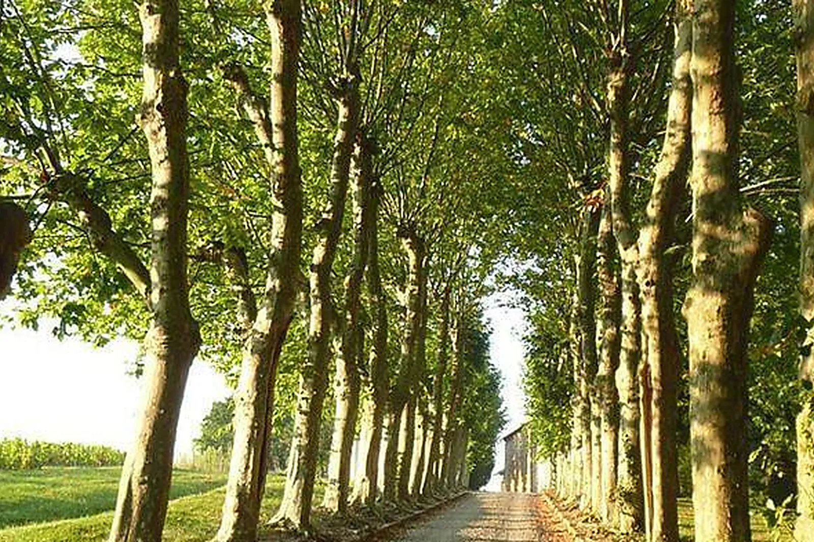 Lieux événementiels, CHÂTEAU DES RAVATYS