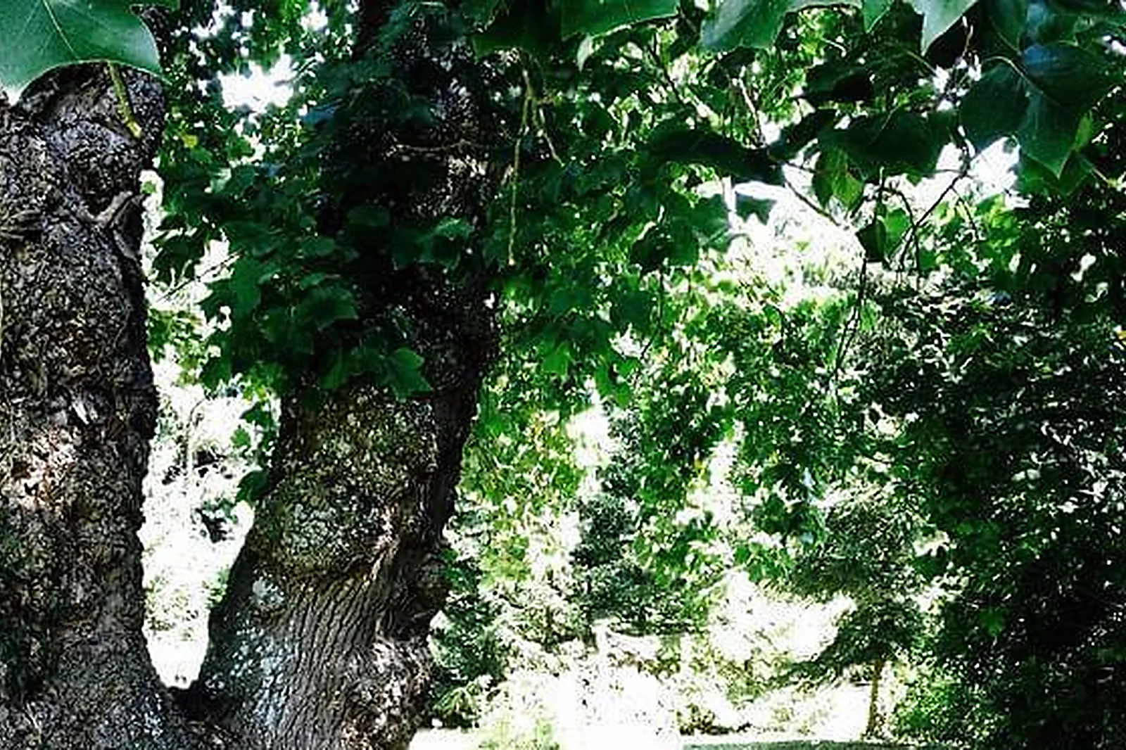 Lieux événementiels, CHÂTEAU DU BOIS DE LA LUNE