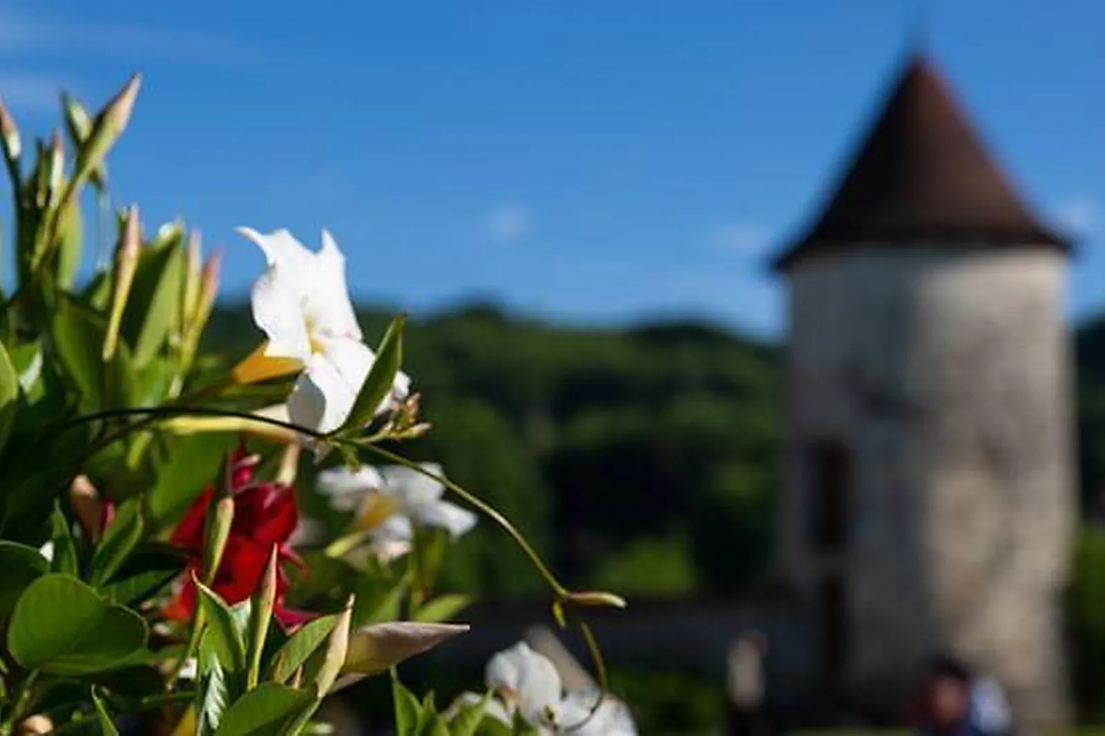 Lieux événementiels, CHÂTEAU DU CHAPEAU CORNU