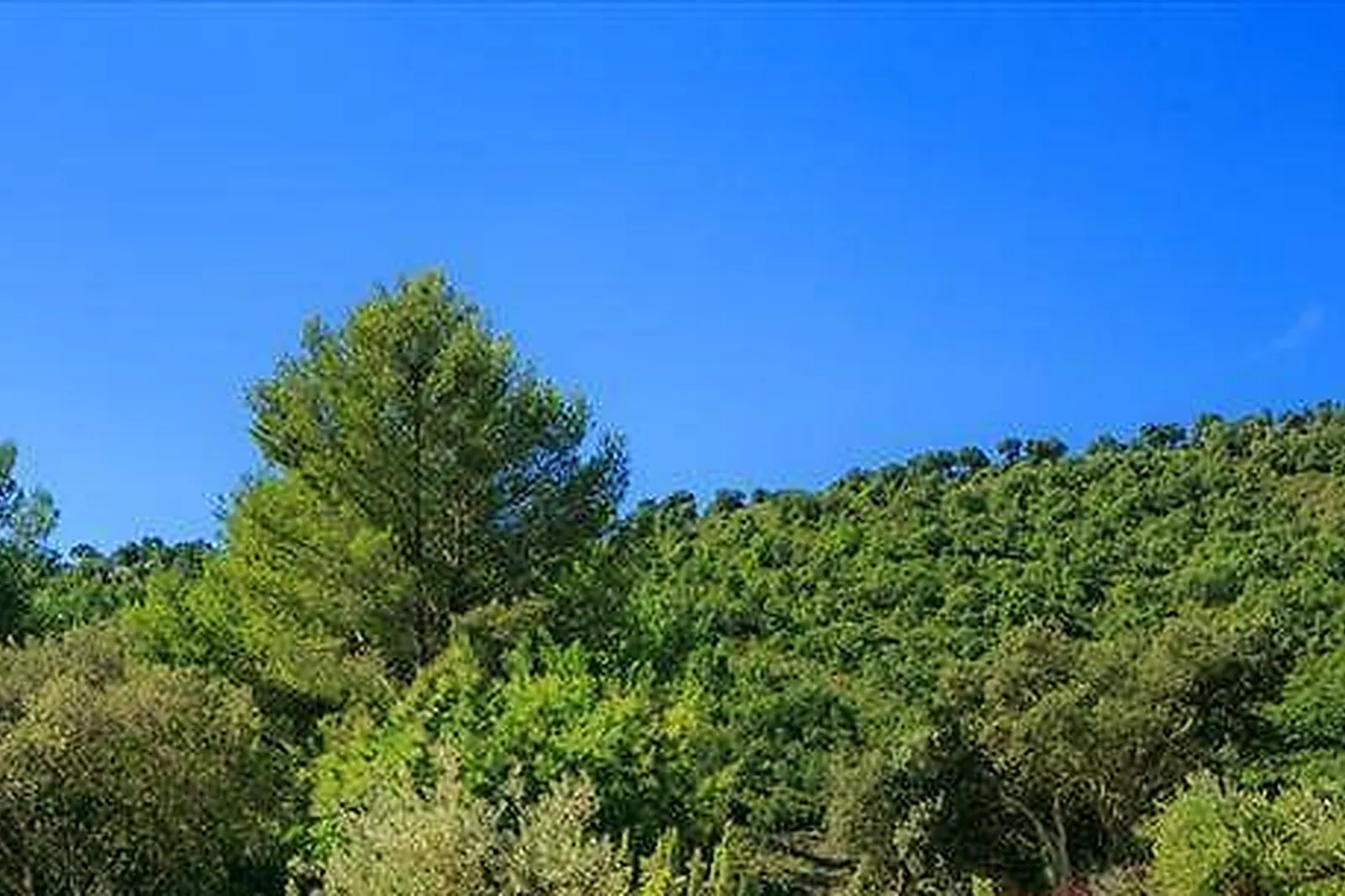 Lieux événementiels, CHÂTEAU DU PAS DE CERF