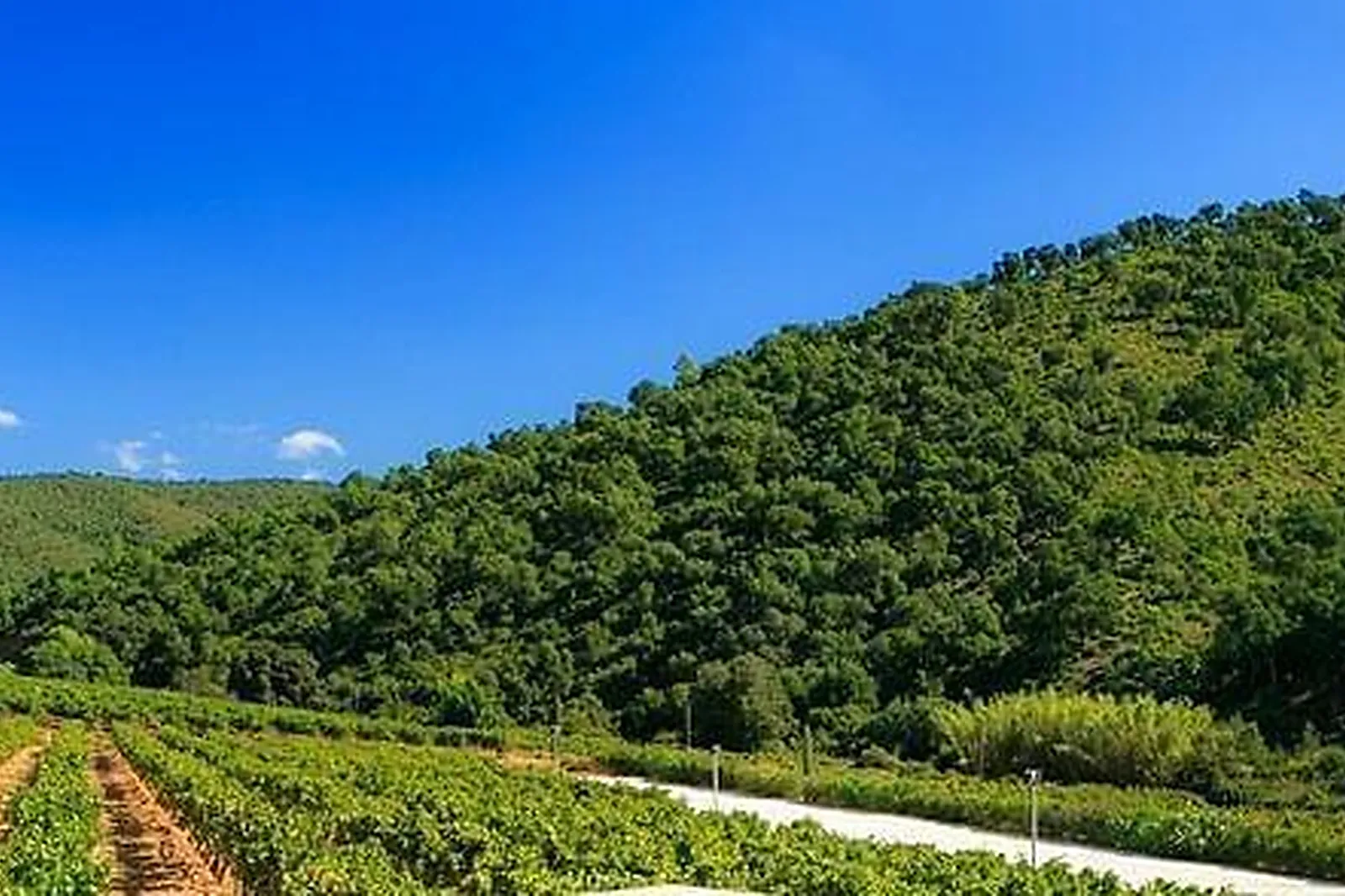 Lieux événementiels, CHÂTEAU DU PAS DE CERF