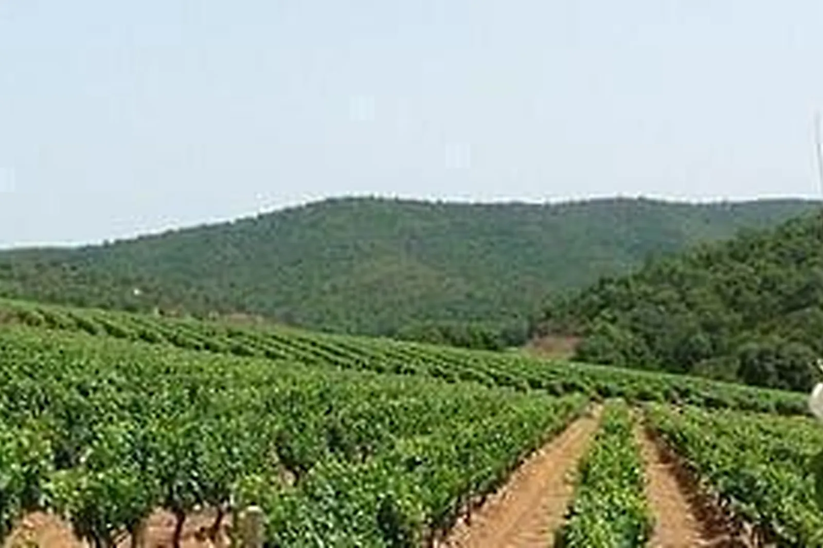 Lieux événementiels, CHÂTEAU DU PAS DE CERF
