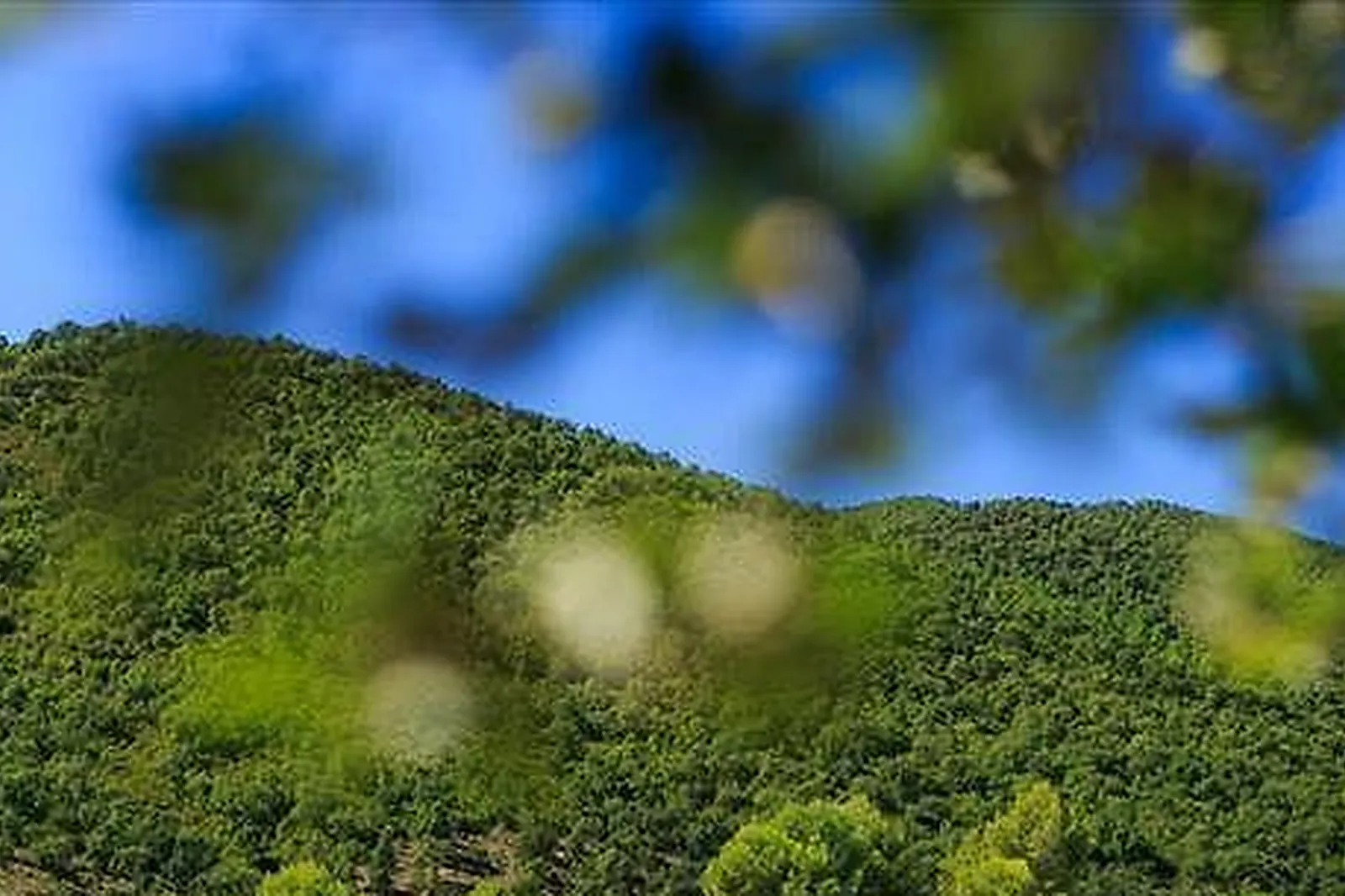 Lieux événementiels, CHÂTEAU DU PAS DE CERF