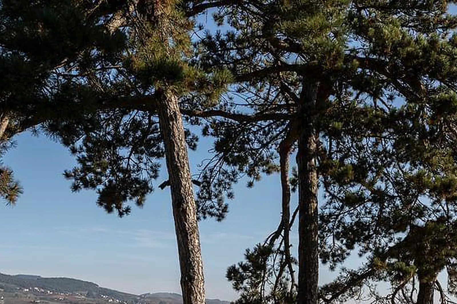 Lieux événementiels, CHÂTEAU DU SOUZY