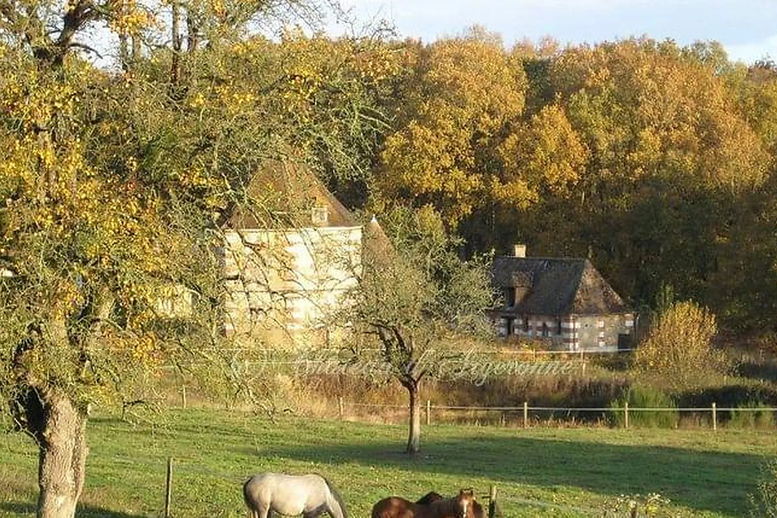 Lieux événementiels, CHÂTEAU D’ARGERONNE