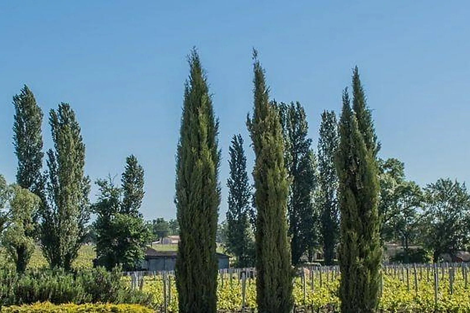 Lieux événementiels, CHÂTEAU L'ETAMPE