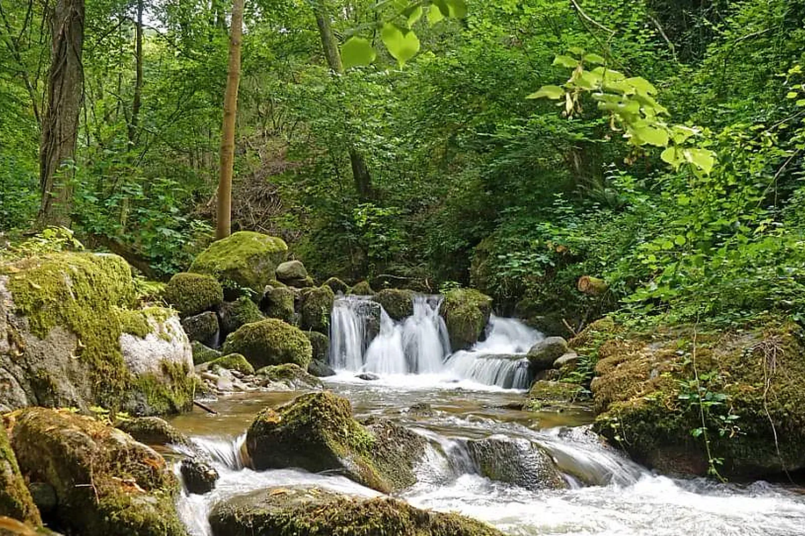 Lieux événementiels, CLOS DU REGRILLON