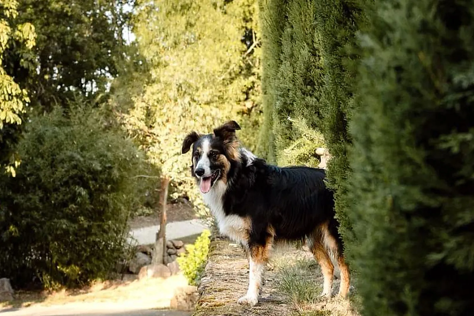 Lieux événementiels, CLOS DU REGRILLON