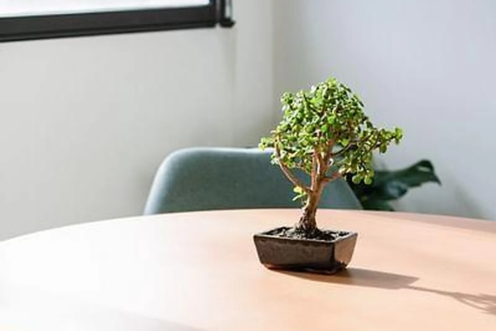 Lieux événementiels, COETHIC