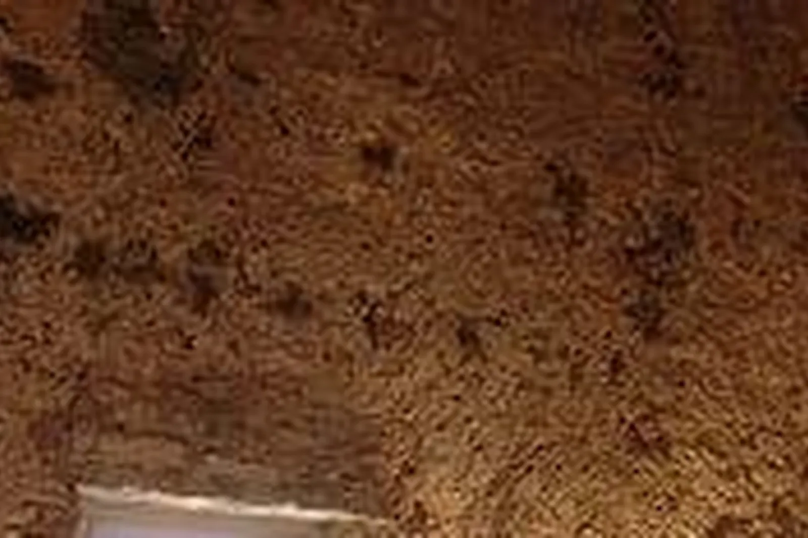 Lieux événementiels, TOGETHER WORKIN CARDINET