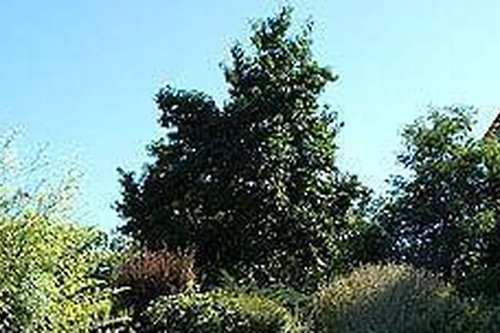 Lieux événementiels, GÎTE LA CHARRETTE FLEURIE