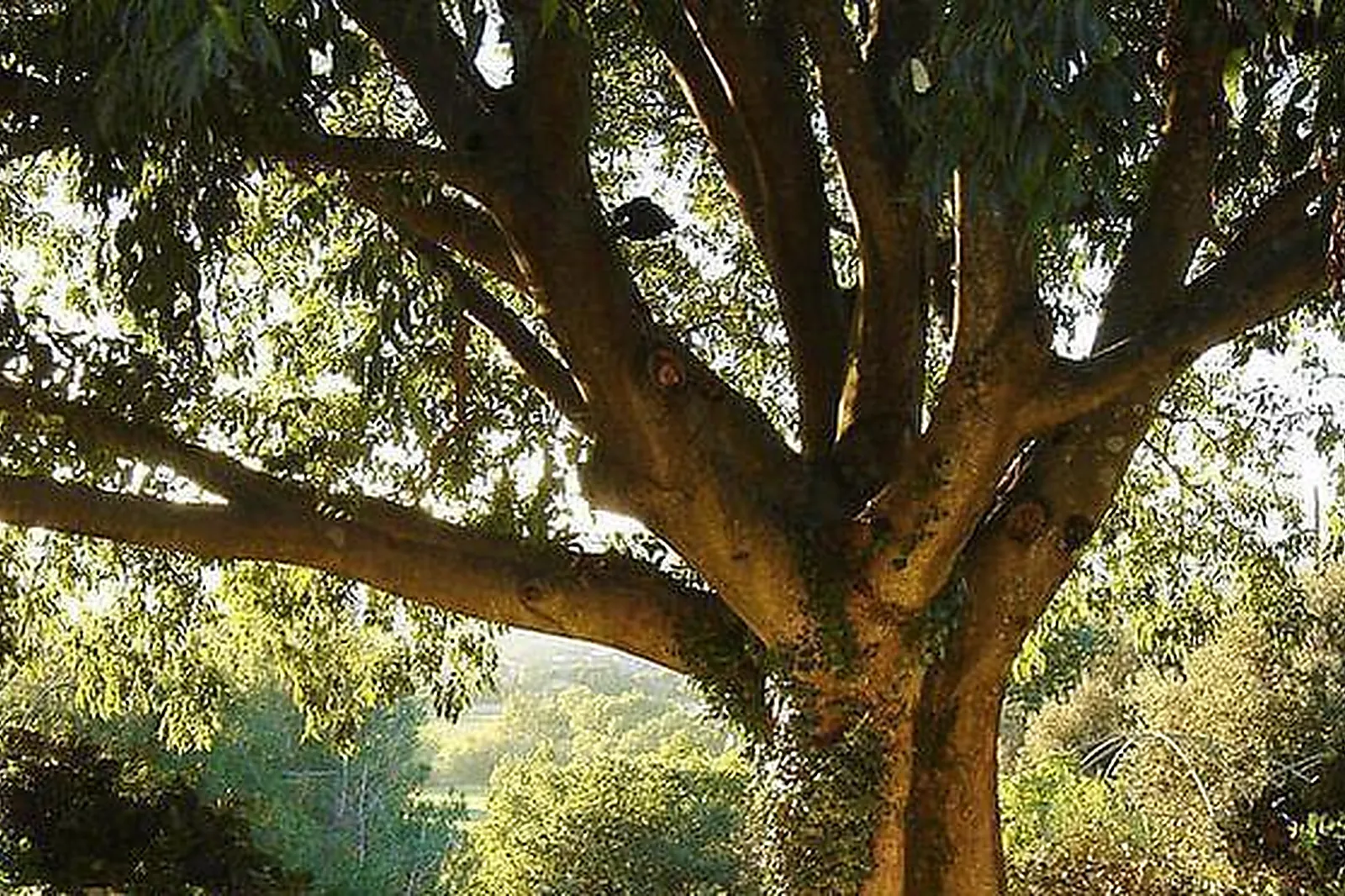 Lieux événementiels, GÎTE LA CHARRETTE FLEURIE