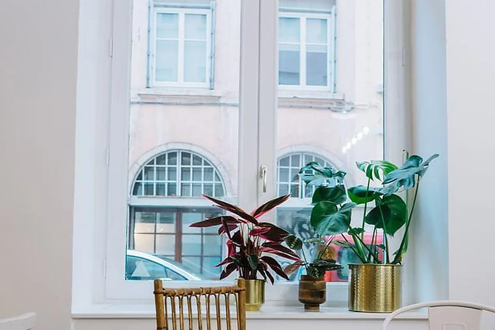 Lieux événementiels, COMPTOIR SAUVAGE