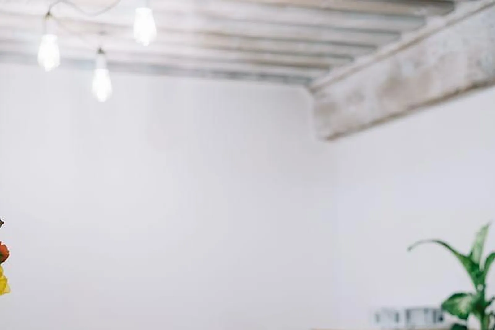 Lieux événementiels, COMPTOIR SAUVAGE