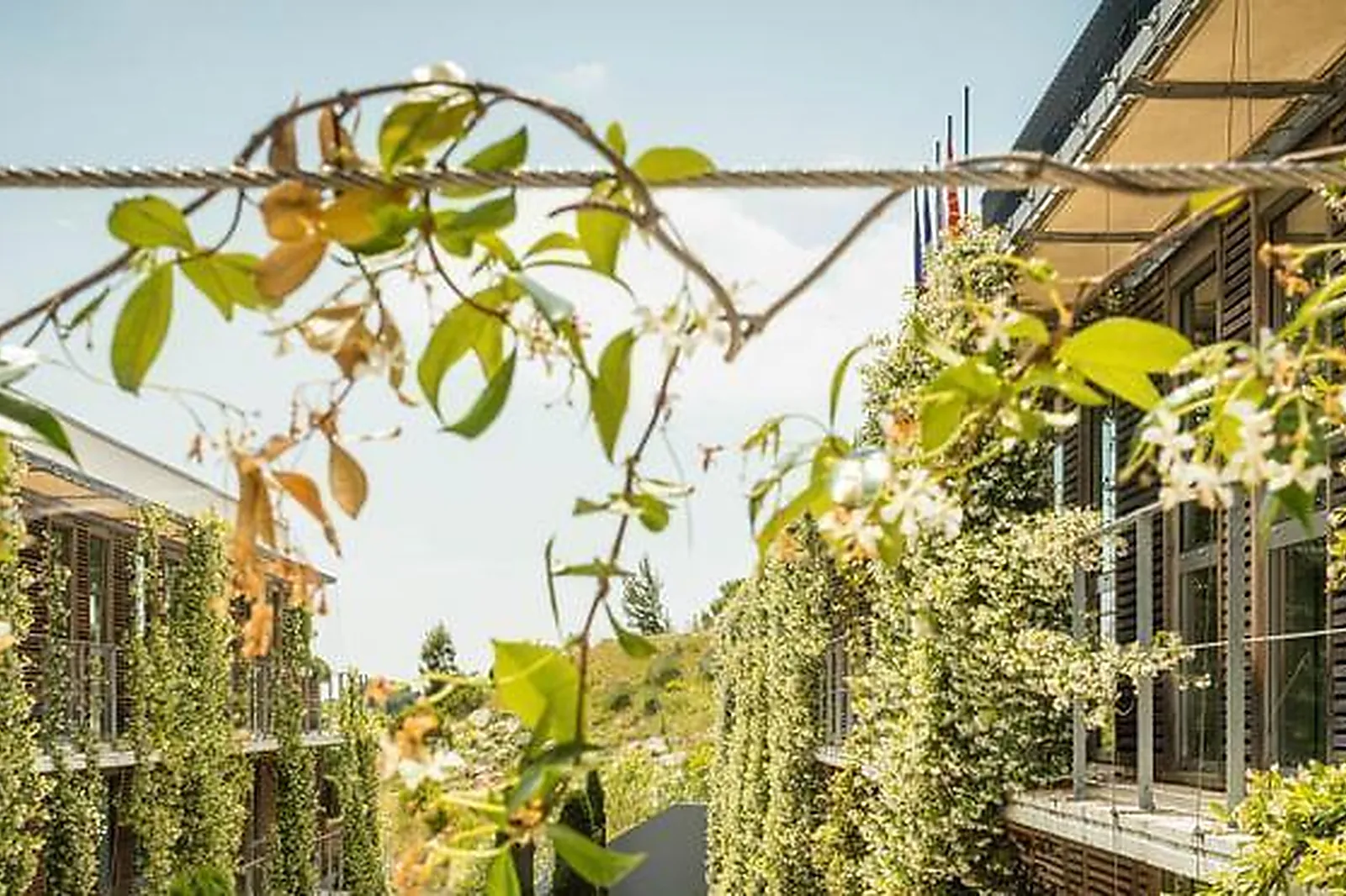 Lieux événementiels, COURTYARD MARRIOTT MONTPELLIER ****