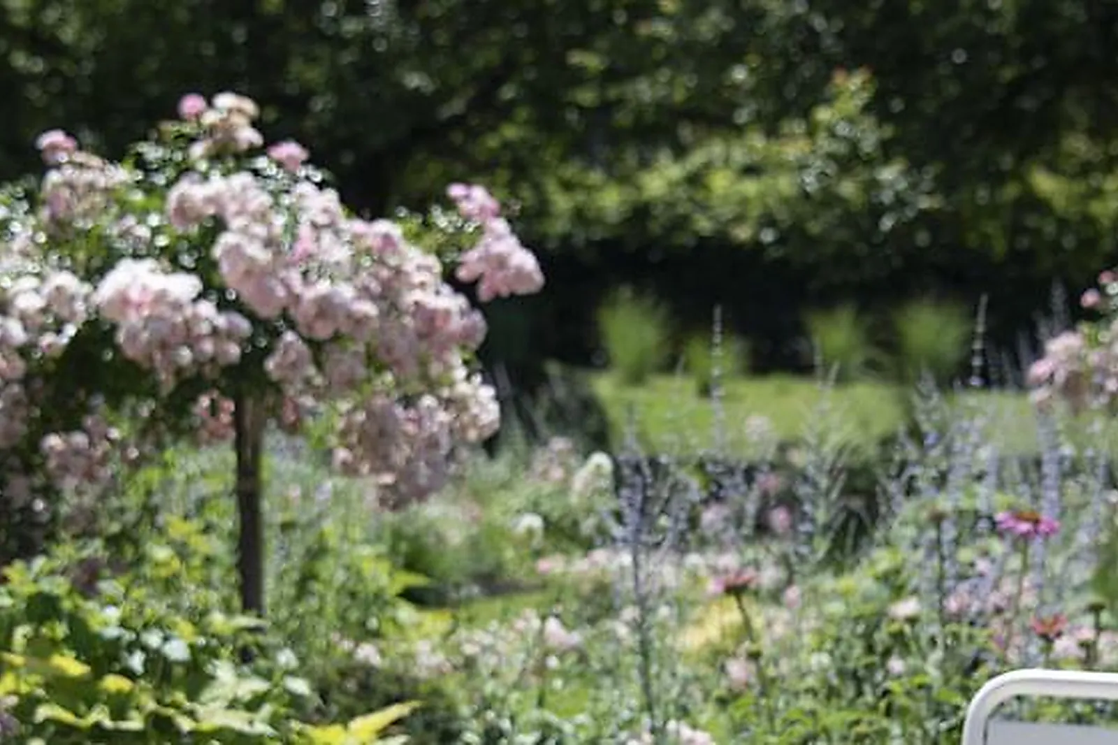 Lieux événementiels, COURTYARD BY MARRIOTT PARIS CHARLES DE GAULLE AIRPORT