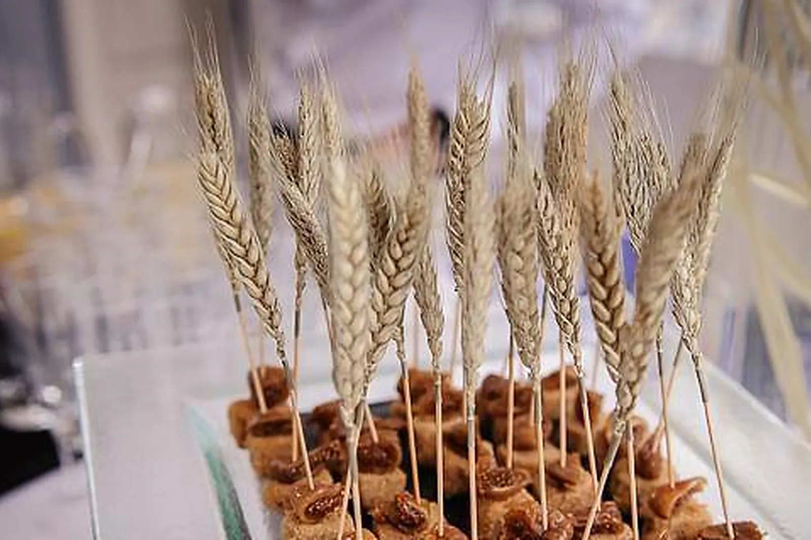 Lieux événementiels, DEMEURE LAMAURY