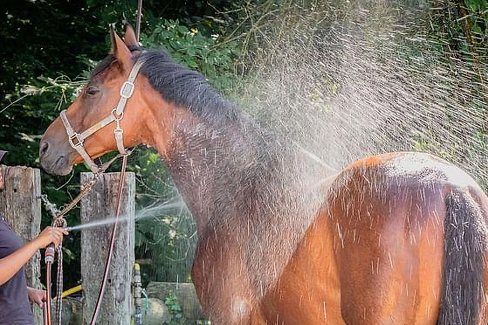 Lieux événementiels, IMAGIN'OFFICE NEUILLY