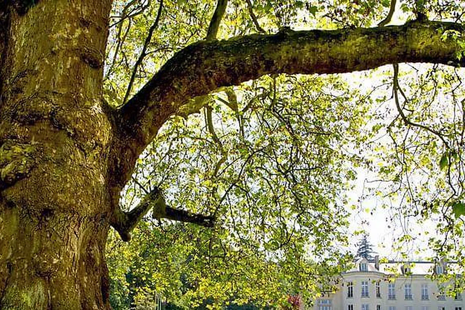 Lieux événementiels, IMAGIN'OFFICE NEUILLY