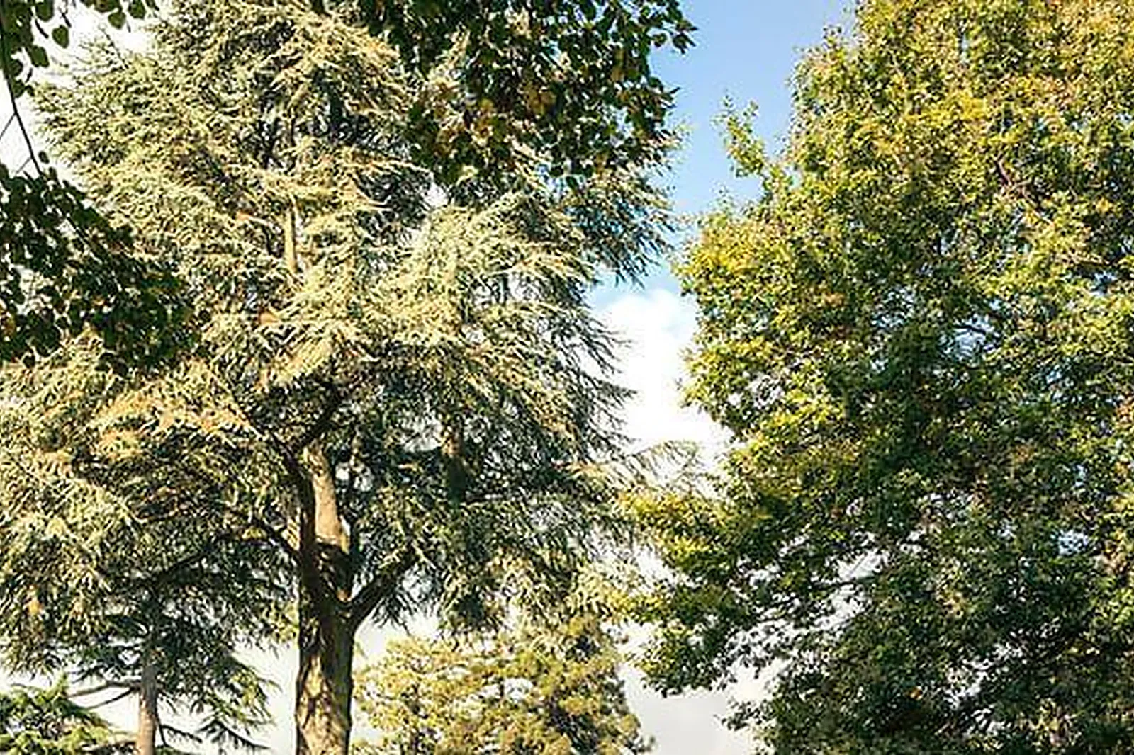 Lieux événementiels, DEMEURES DE CAMPAGNE PARC DU COUDRAY - MERCURE ****
