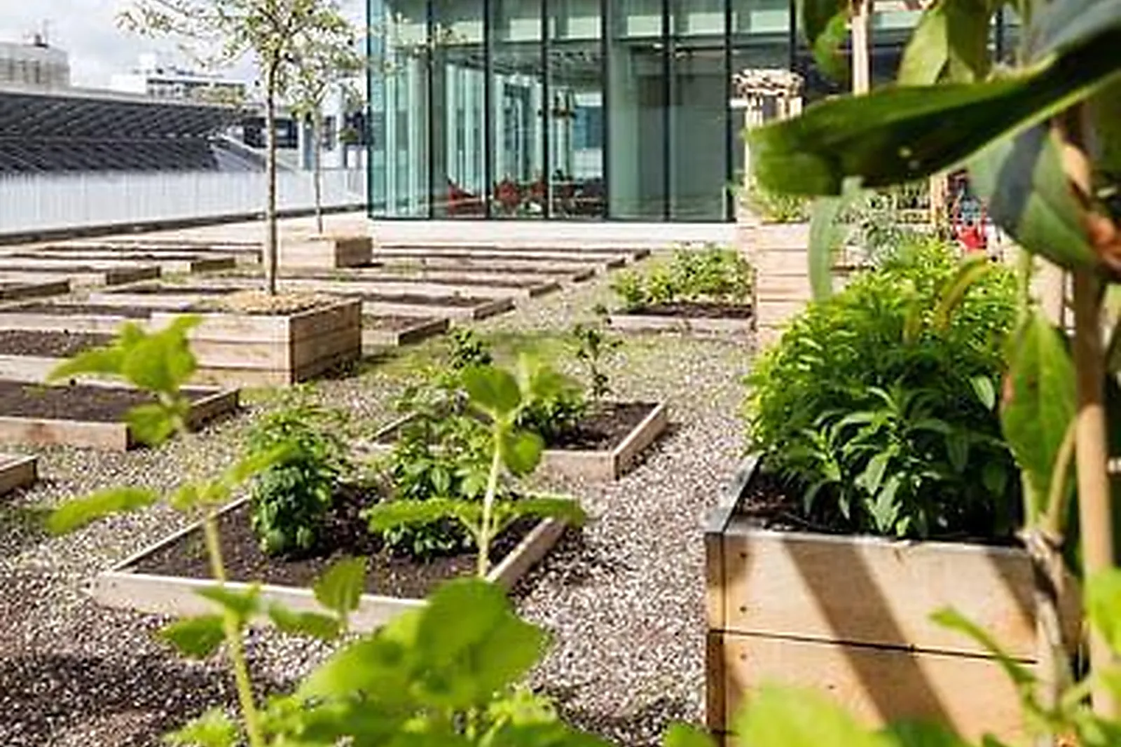 Lieux événementiels, DESKOPOLITAN VOLTAIRE