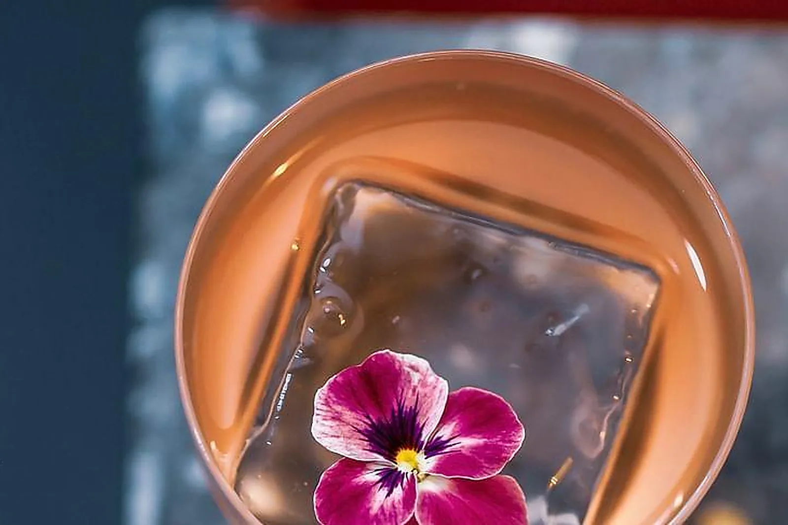 Lieux événementiels, DIVINE