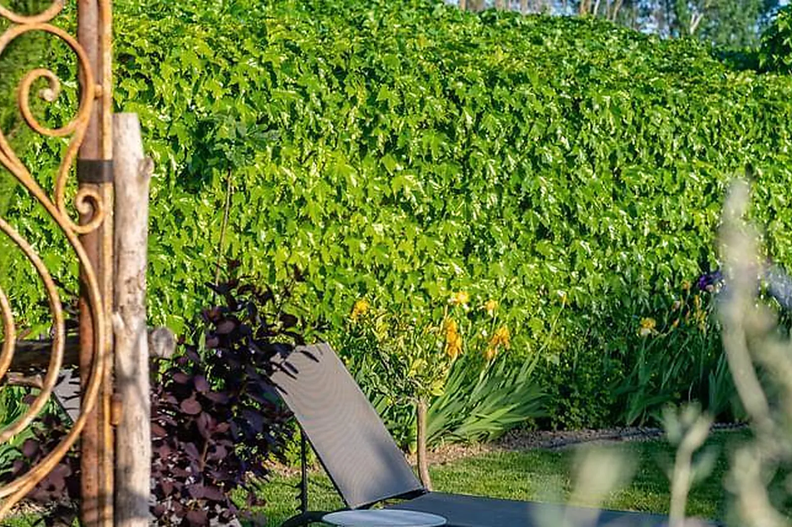 Lieux événementiels, DOMAINE ABACARD