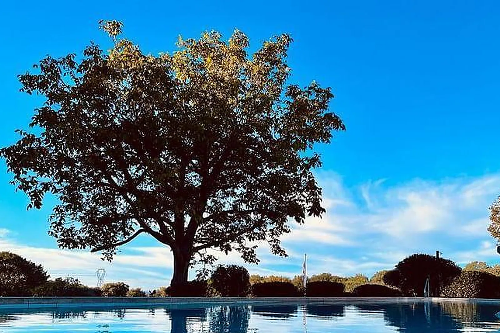 Lieux événementiels, DOMAINE AMOURELLA