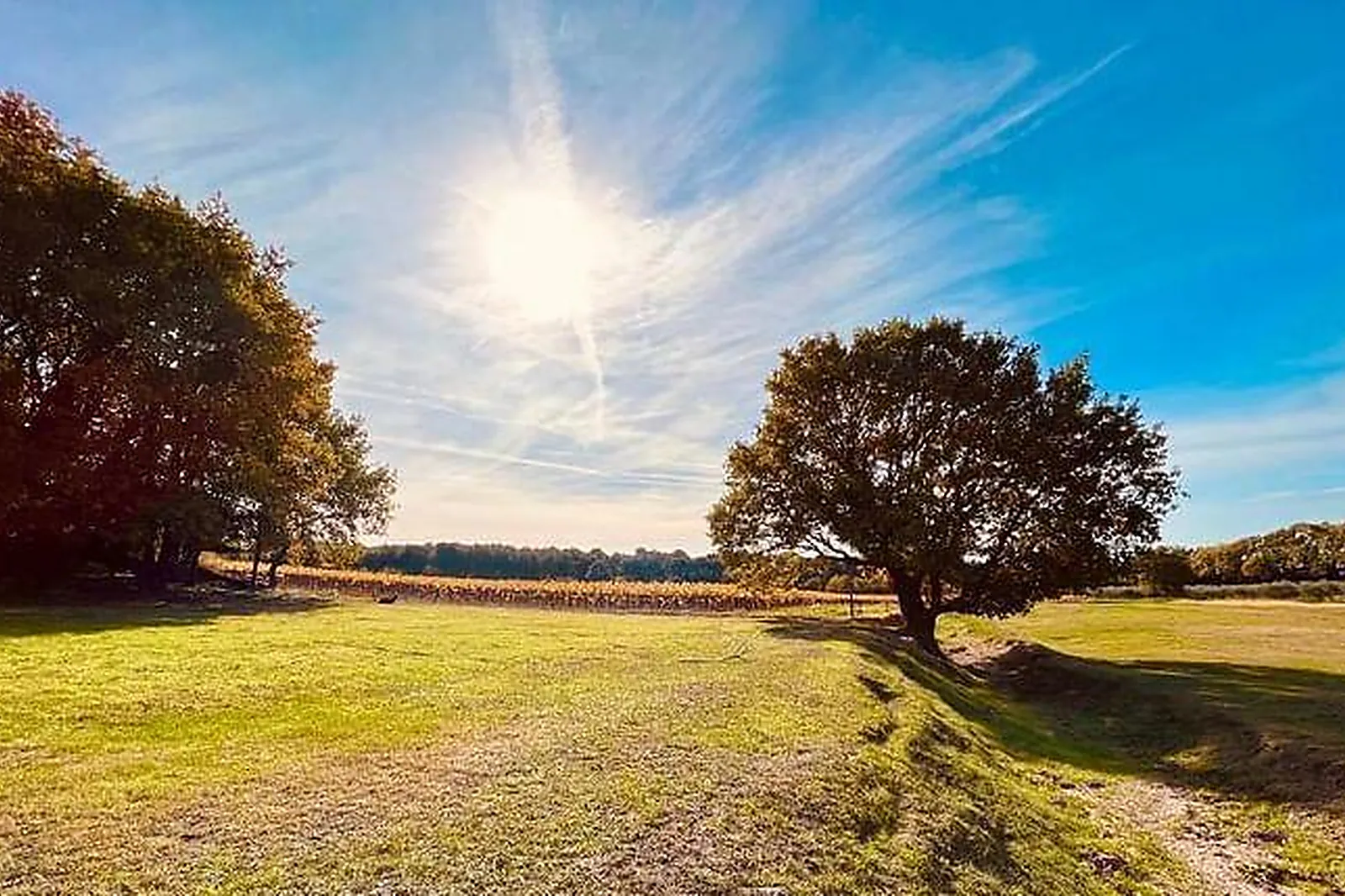 Lieux événementiels, DOMAINE AMOURELLA
