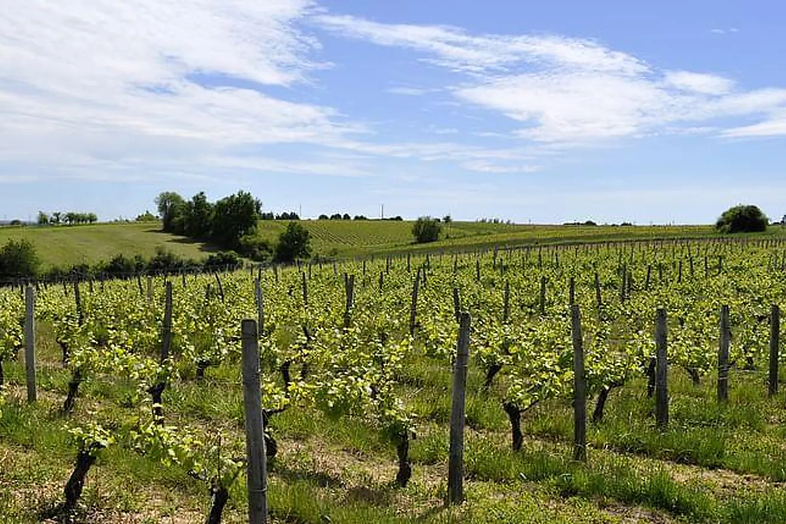 Lieux événementiels, DOMAINE CLAUDE LAFOND