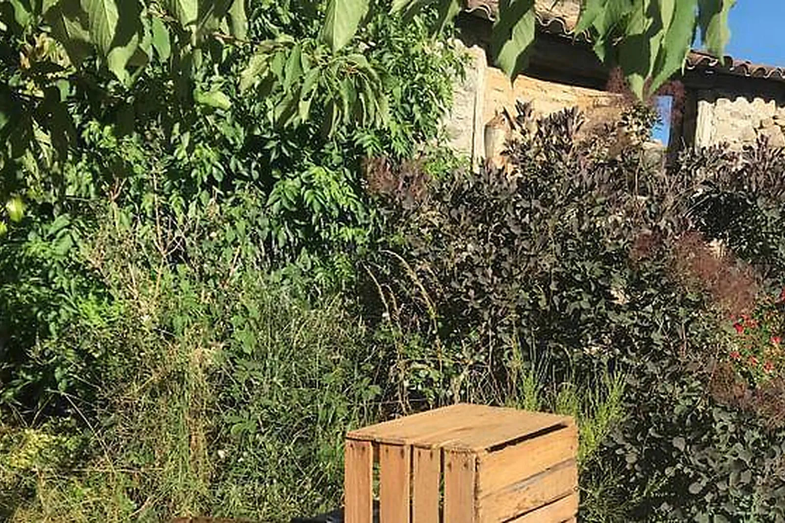 Lieux événementiels, DOMAINE D'ALCAPIÈS