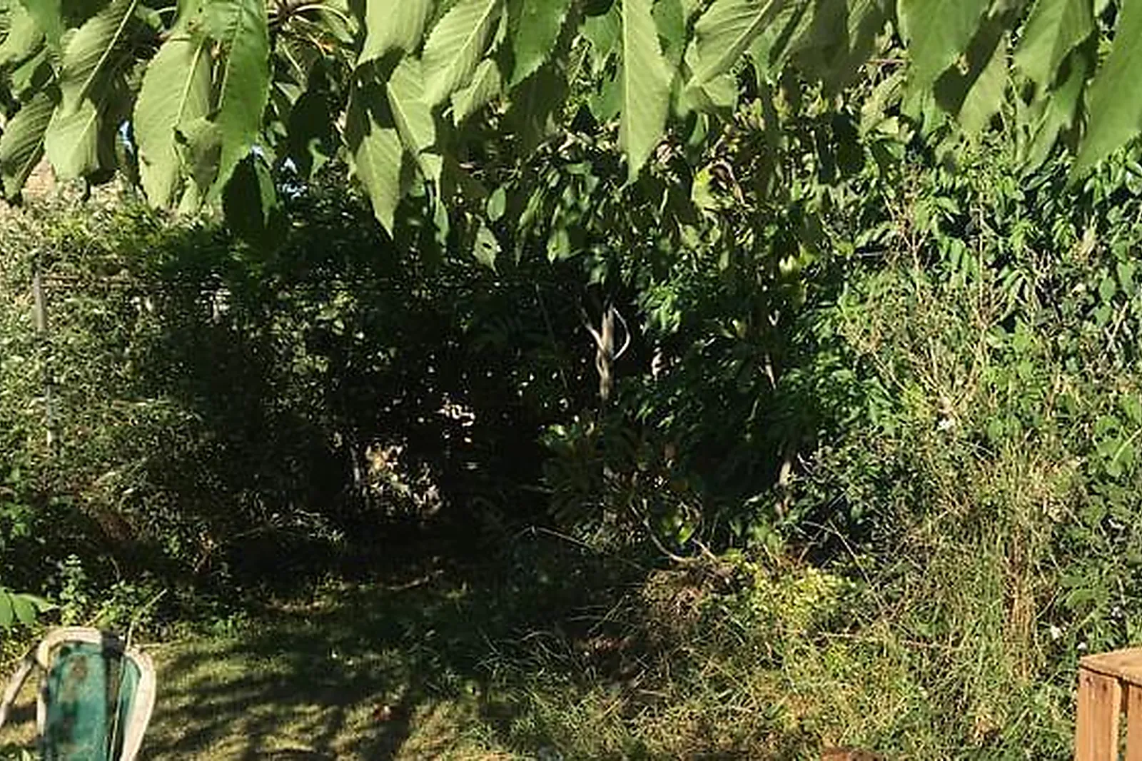 Lieux événementiels, DOMAINE D'ALCAPIÈS