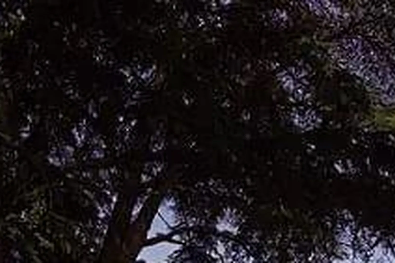 Lieux événementiels, DOMAINE DES SÉQUOIAS