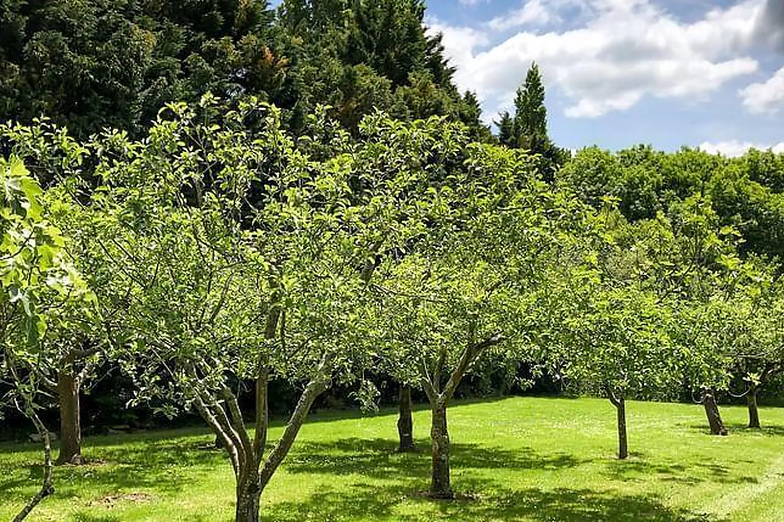 Lieux événementiels, WORK AND PLAY