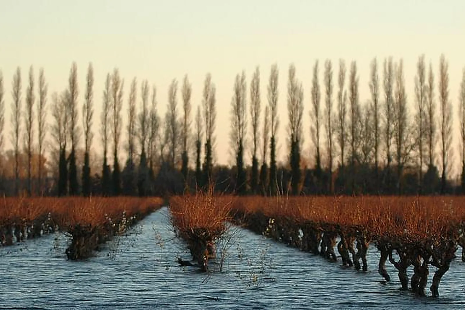 Lieux événementiels, DOMAINE ISLE SAINT PIERRE