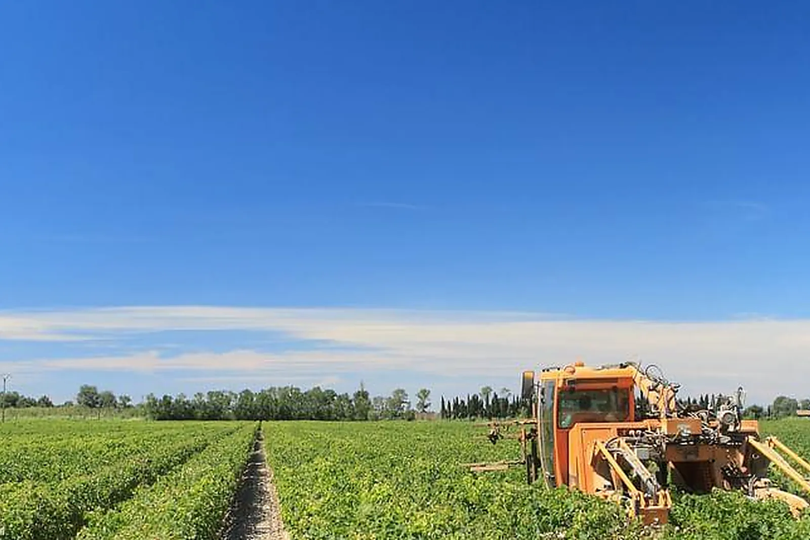 Lieux événementiels, DOMAINE ISLE SAINT PIERRE