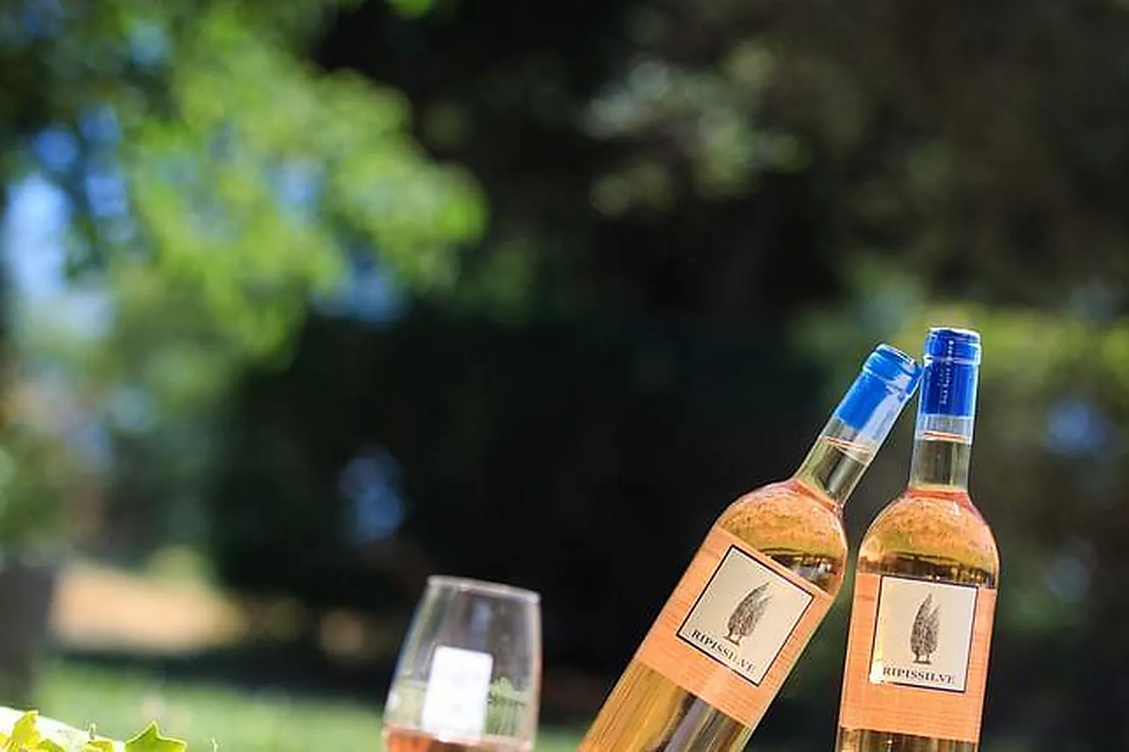 Lieux événementiels, DOMAINE ISLE SAINT PIERRE