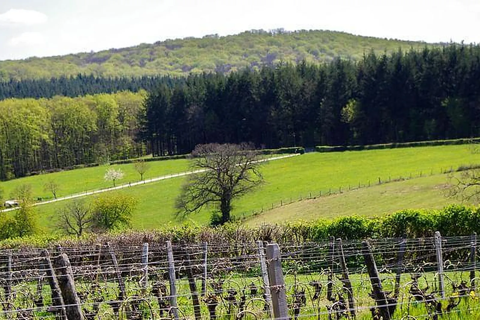 Lieux événementiels, DOMAINE JOSEPH LAFARGE