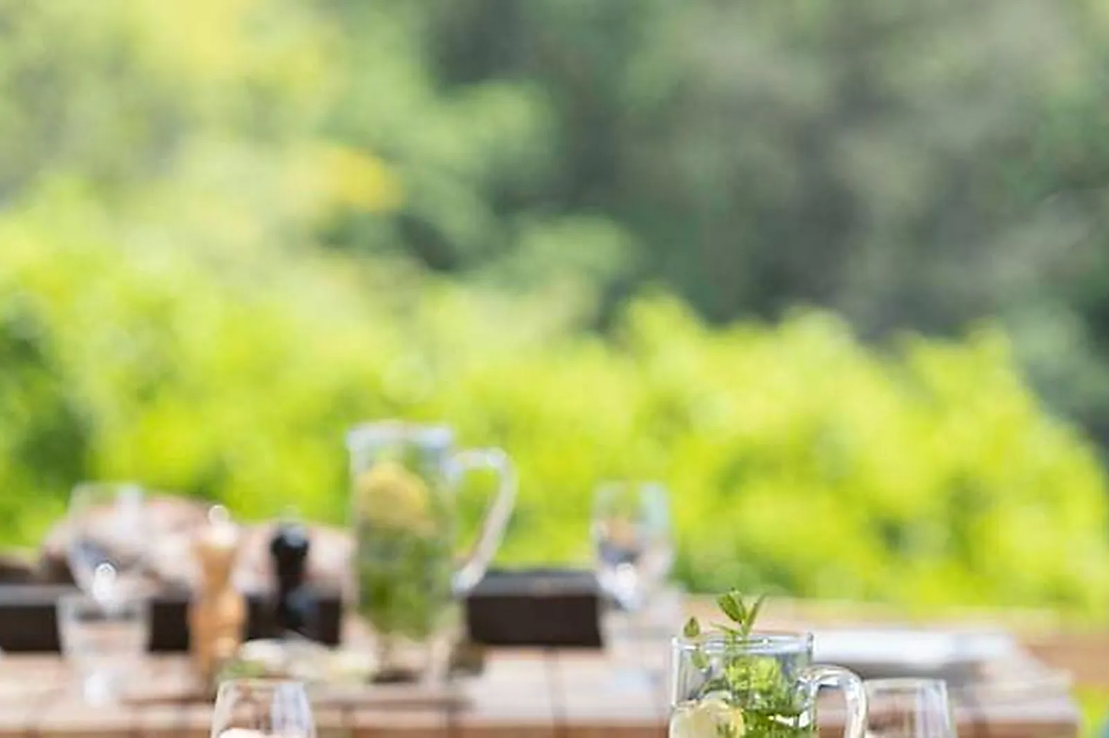 Lieux événementiels, DOMAINE LA PLUME