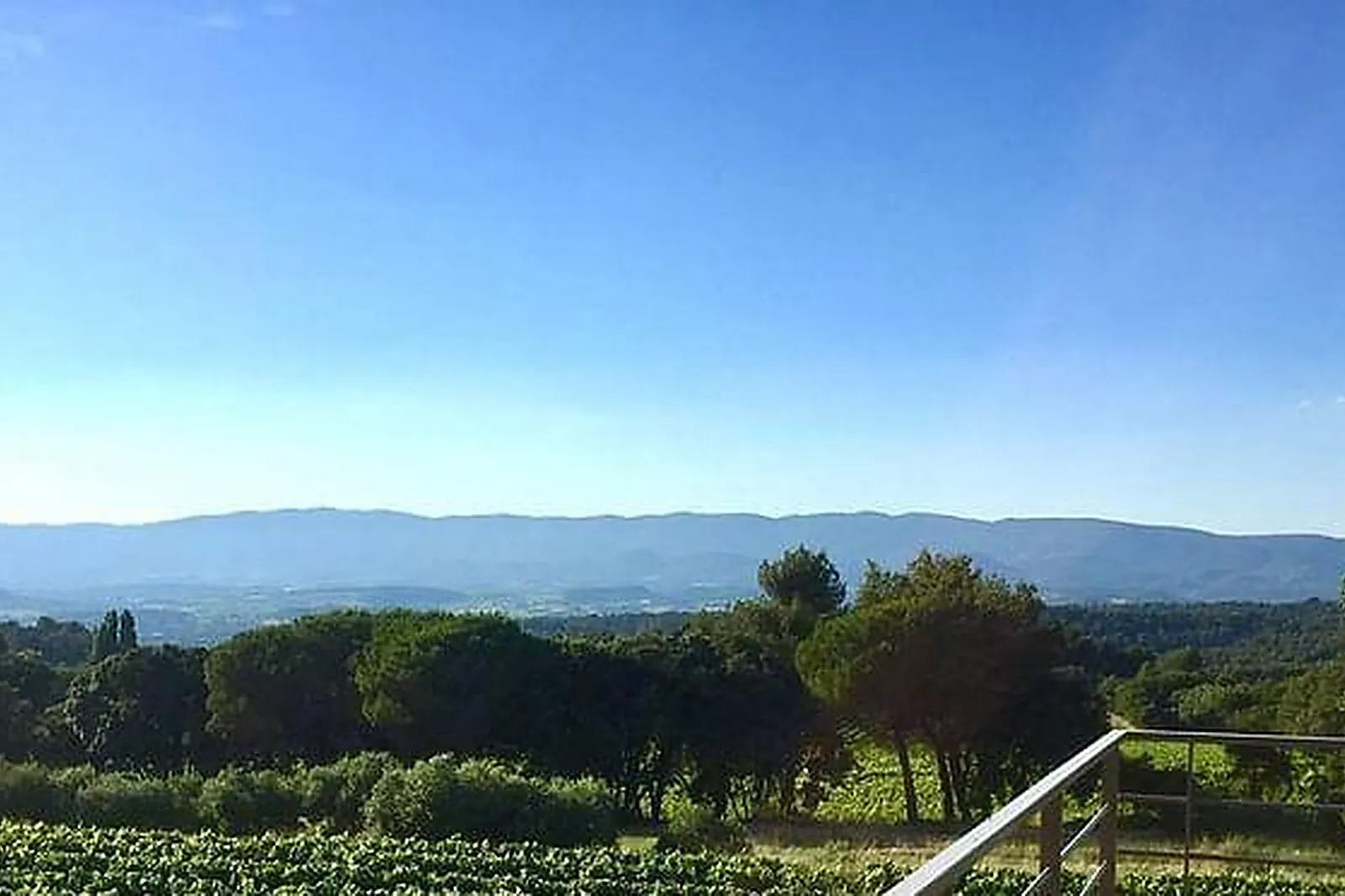 Lieux événementiels, DOMAINE LES PERPETUS