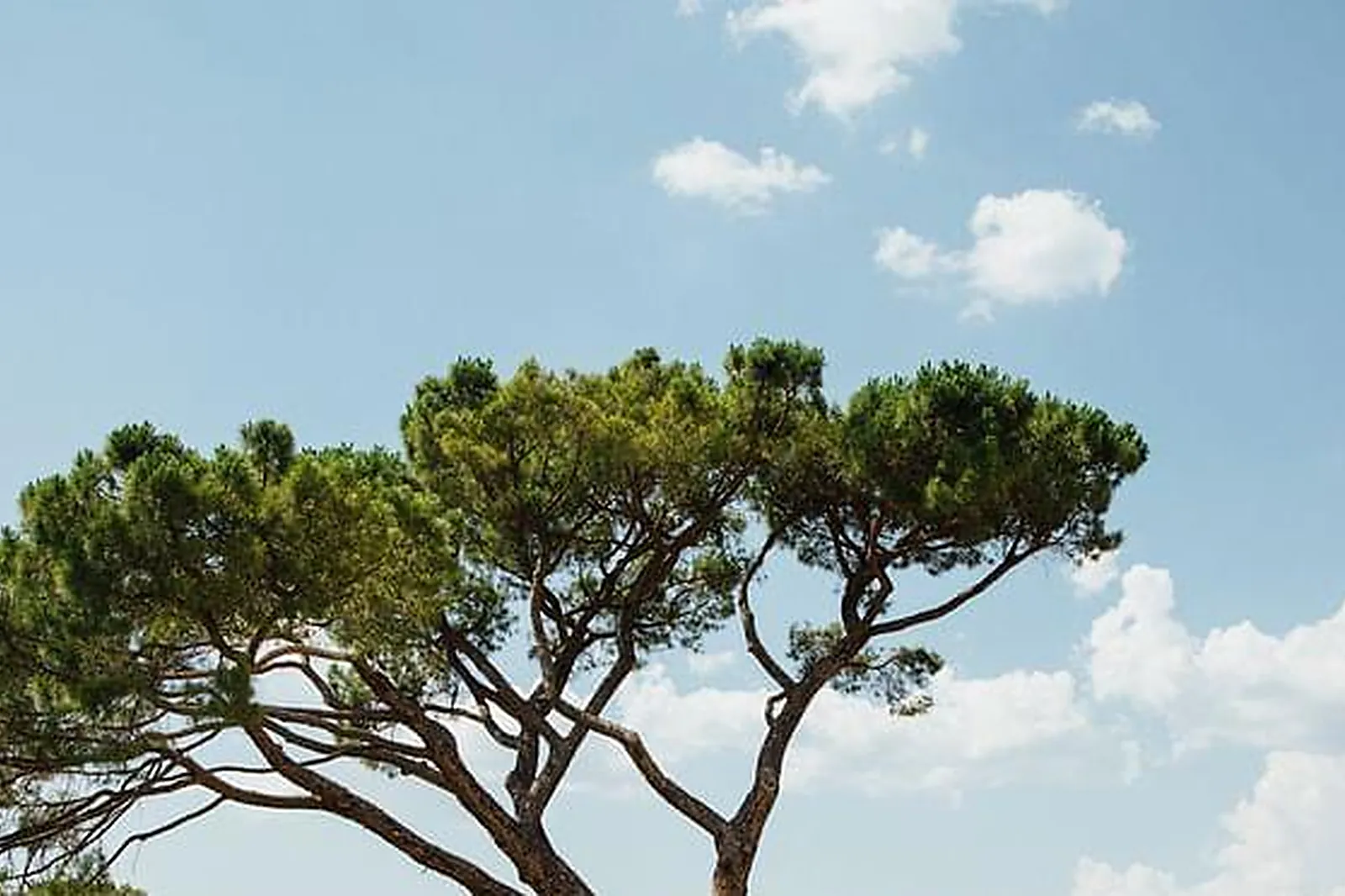 Lieux événementiels, DOMAINE LES PERPETUS