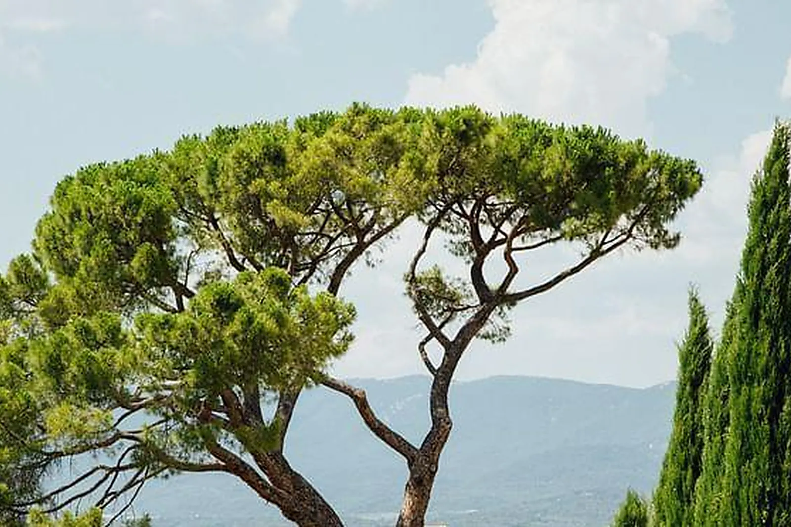 Lieux événementiels, DOMAINE LES PERPETUS