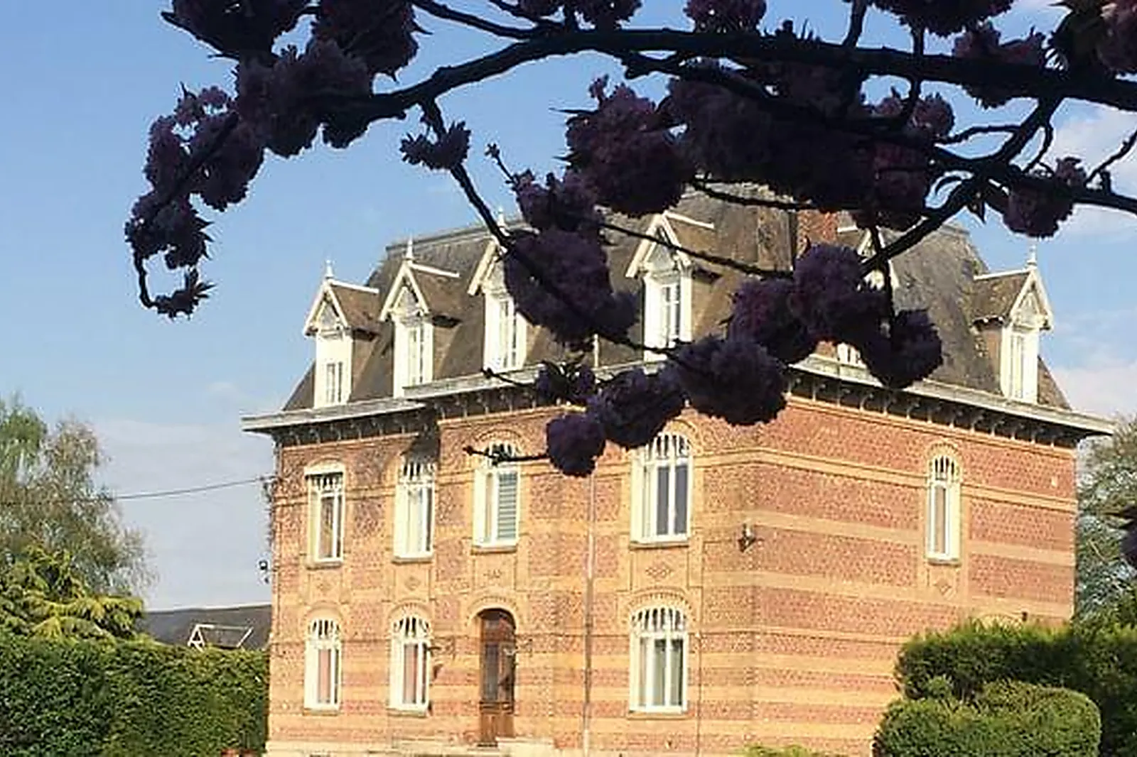 Lieux événementiels, DOMAINE LES RACINES