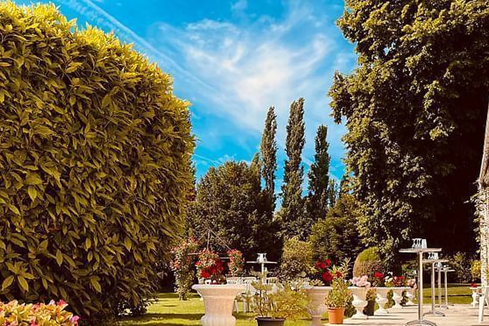 Lieux événementiels, DOMAINE LES RACINES