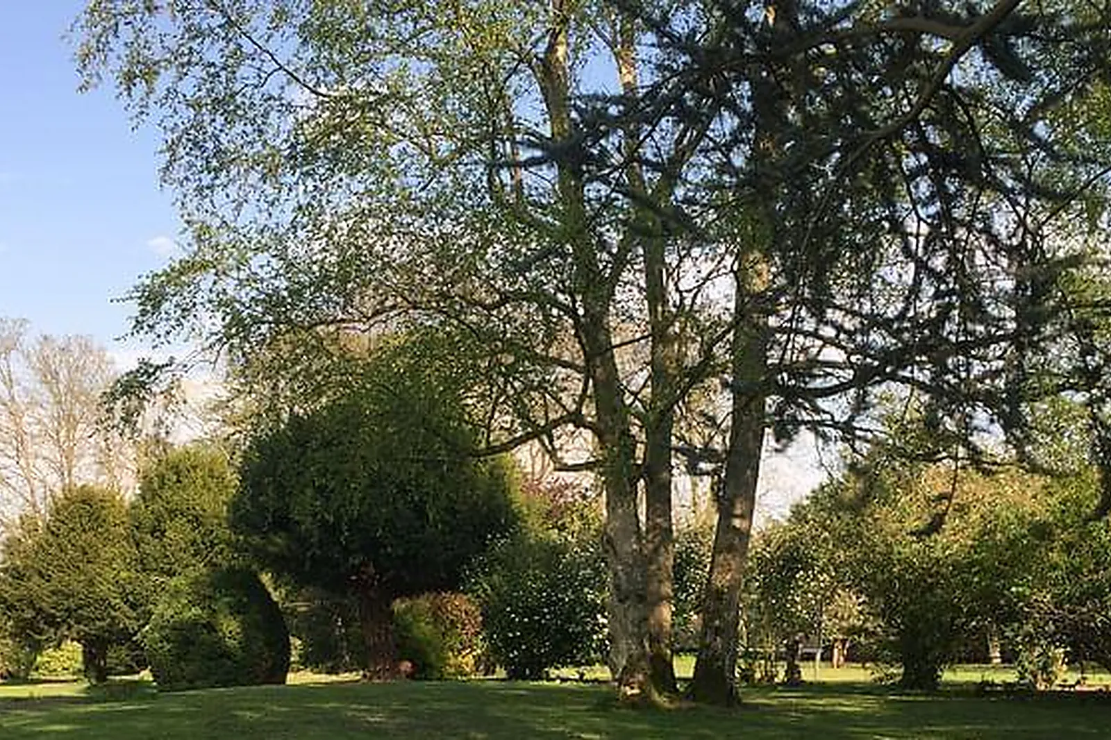 Lieux événementiels, DOMAINE LES RACINES