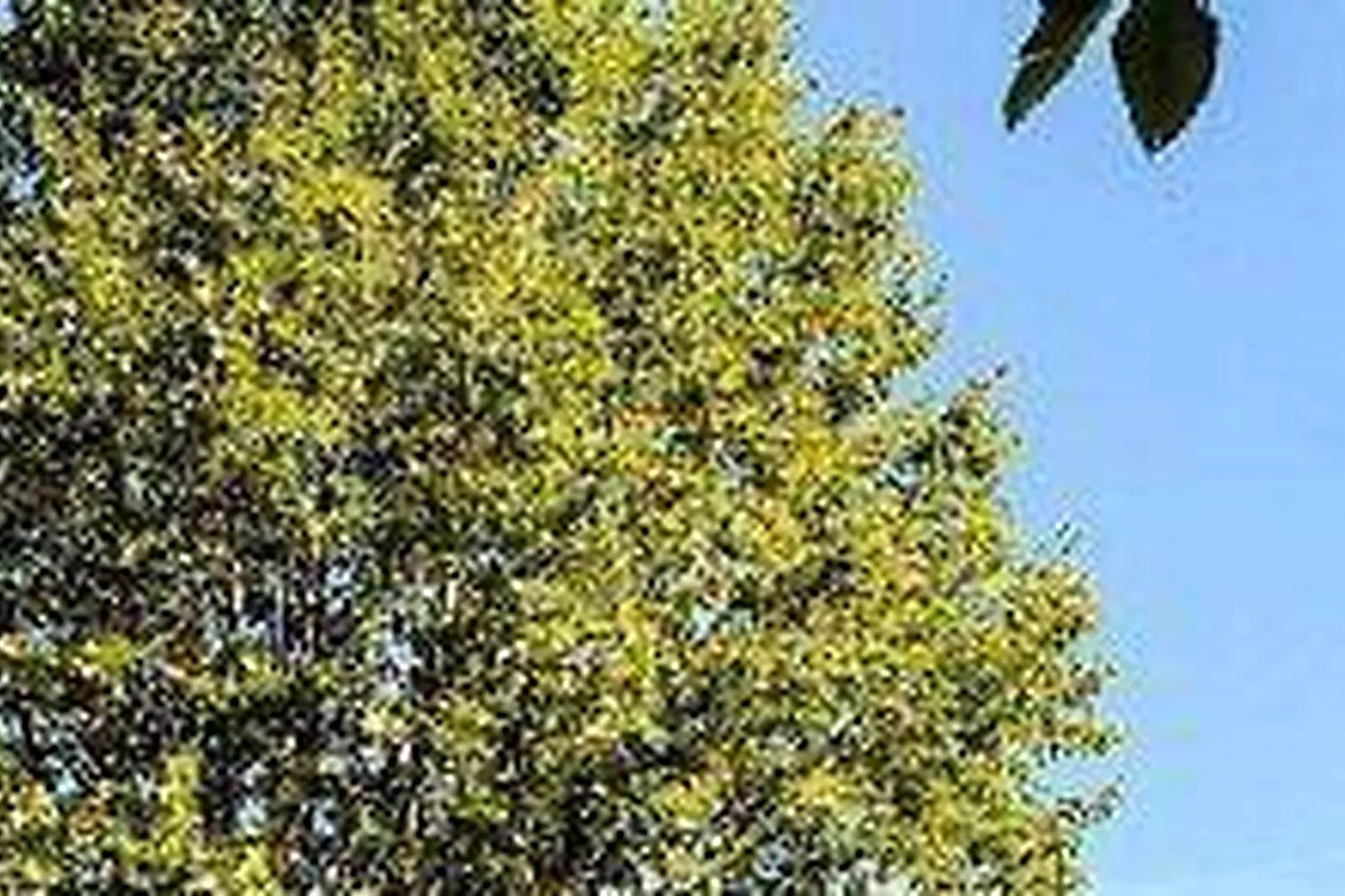 Lieux événementiels, DOMAINE MAISON DODO