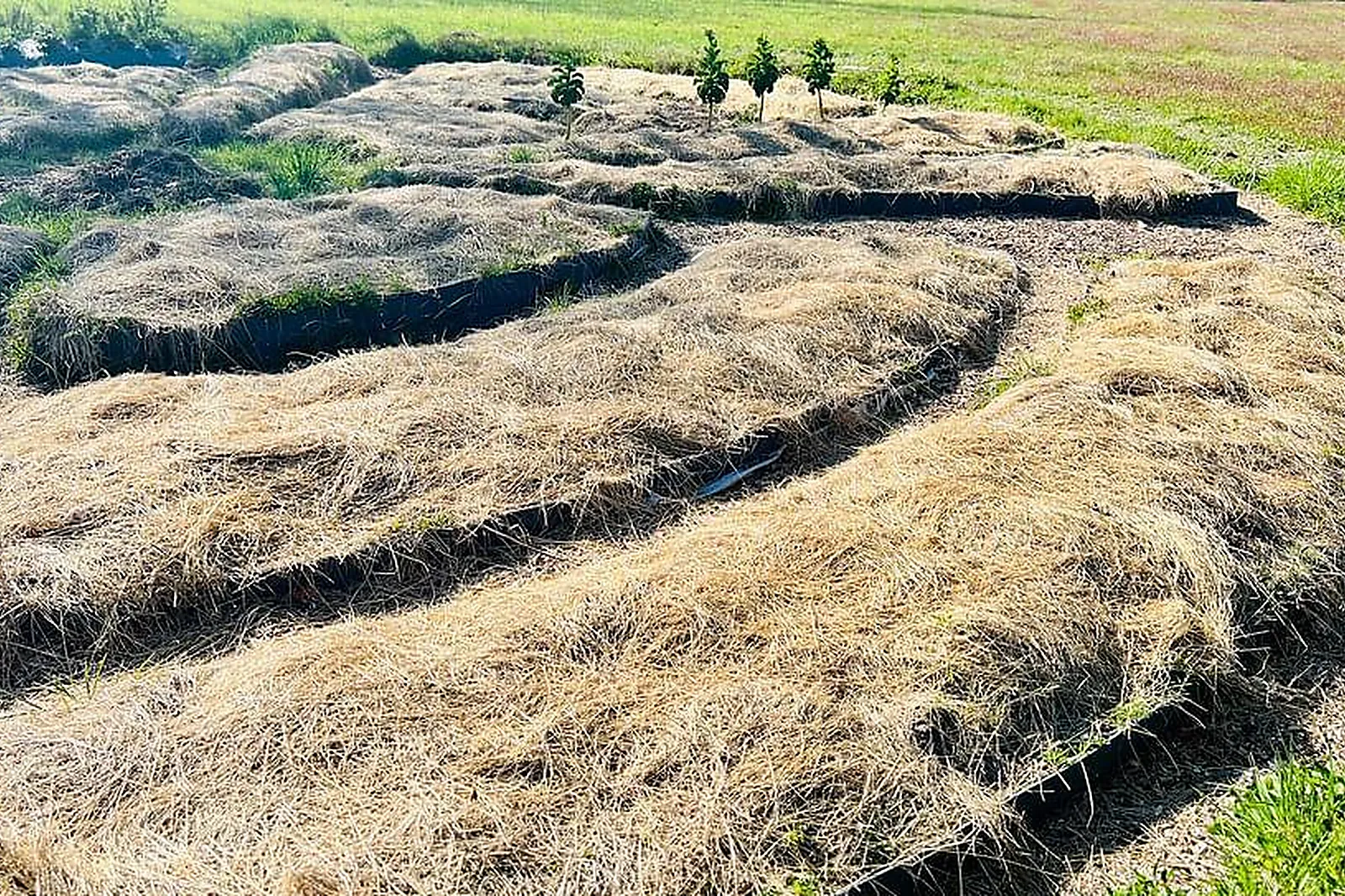 Lieux événementiels, DOMAINE ORANGA RETREATS