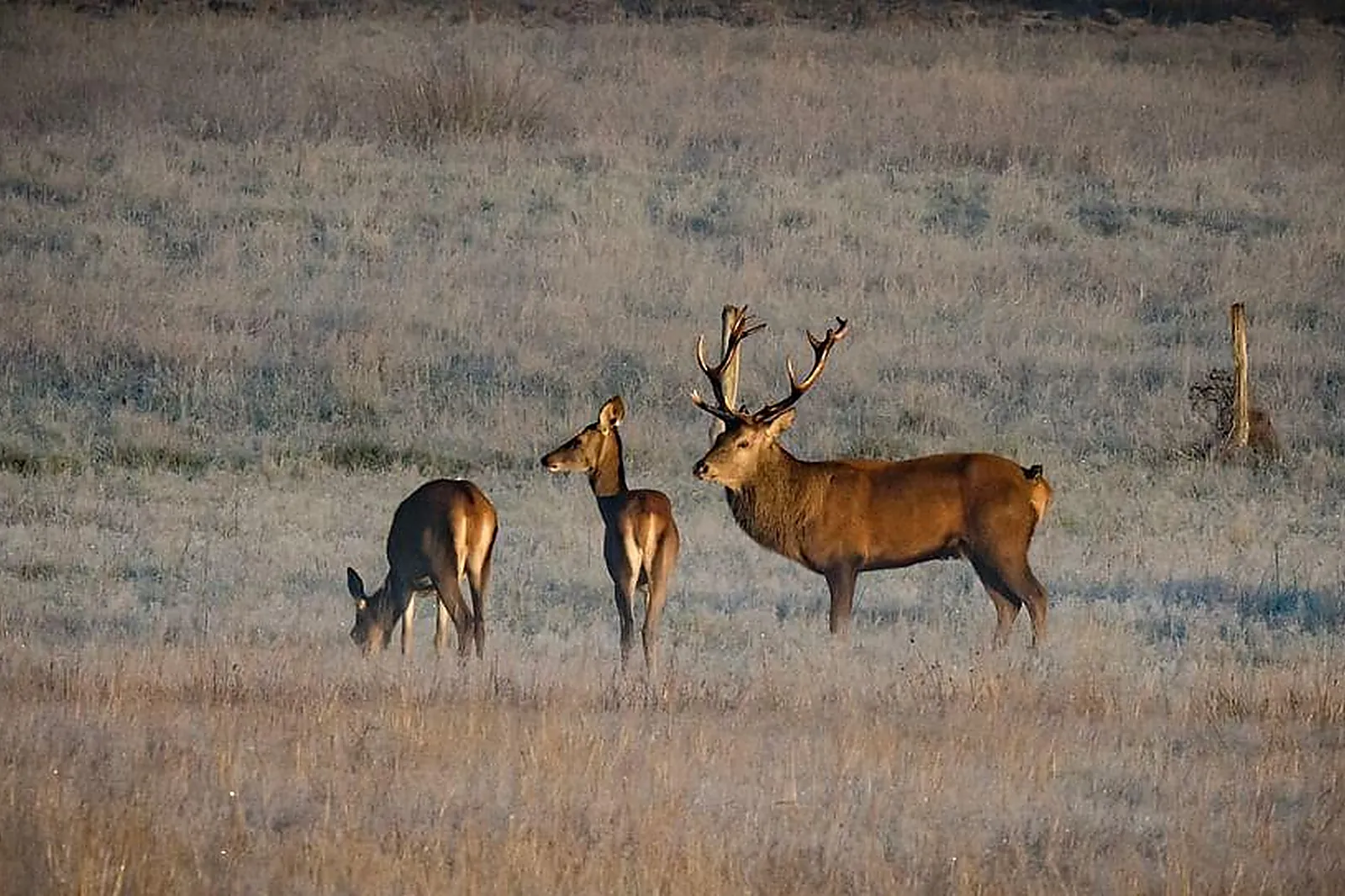 Lieux événementiels, DOMAINE ORANGA RETREATS